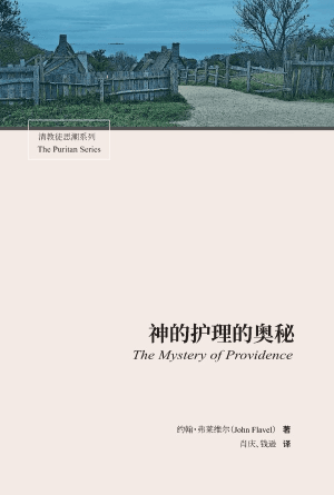 神的护理的奥秘(简)