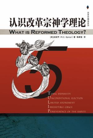 认识改革宗神学理论(简)